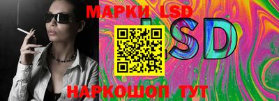 гашик Будённовск