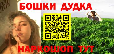 гашик Будённовск